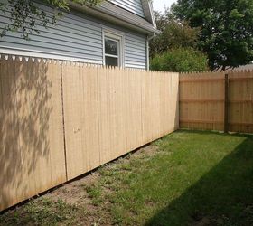 new privacy fence, diy, fences, how to, outdoor living, Courtyard Ignore the terrible lack of grass