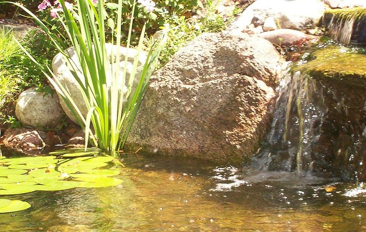 Ponds Inc. of Illinois
Website: www.ponds-inc.com
Facebook: https://www.facebook.com/PondsInc
Hometalk: http://www.hometalk.com/ponds
Pinterest: http://pinterest.com/pondsinc
Twitter: https://twitter.com/PondsInc4you
Flickr: http://www.flickr.com/photos/pondsincofillinois/
Certified Aquascape Contractor (CAC) in your area: http://www.aquascapeinc.com/findcontractors.php