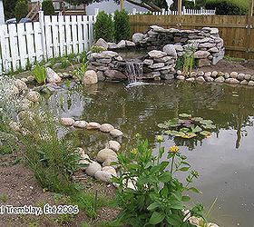 how to build a water garden or backyard pond, gardening, landscape, outdoor living, ponds water features, My Backyard Pond Building Instructions