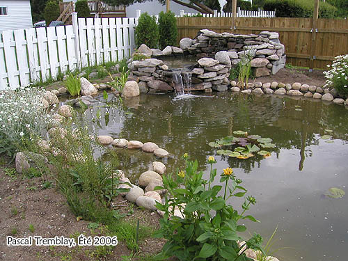instrucciones para la construccin de un estanque en el jardn o patio trasero, Mi estanque de jard n Instrucciones de construcci n