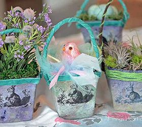 seed pot baskets, crafts, decoupage, easter decorations, gardening, seasonal holiday decor, Now just fill your basket with something darling Thanks so much for having a look at my tiny baskets friends Happy Spring xo