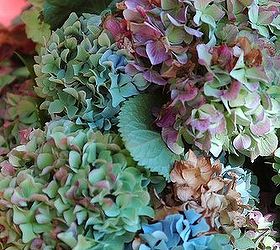 Dried Hydrangeas for Fall Crafting and Decorating!