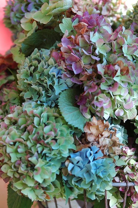 hortensias secas para las manualidades y la decoracin de otoo