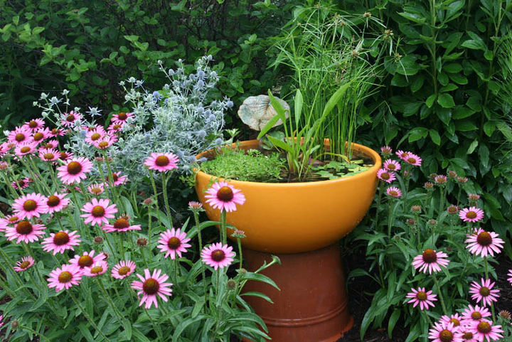 container water gardens, container gardening, gardening, ponds water features, Instructions for re creating this container water garden are available at