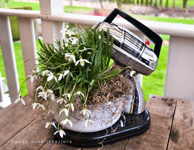 spring has sprung in my mixmaster, gardening, Add a little moss to cover the soil and you have an instant string vignette or centrepiece