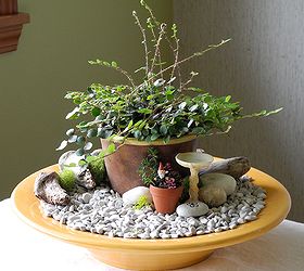 fast easy indoor miniature garden ideas for the black thumb, crafts, gardening, home decor, A cache pot is a pot without a drainage hole you can put it anywhere