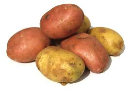 potatoes in the garden, gardening