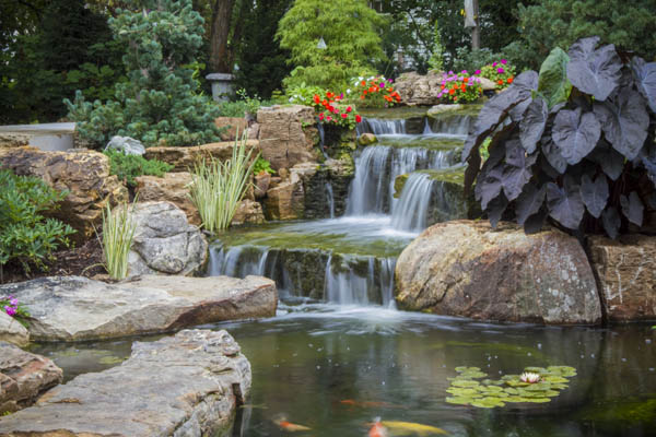 backyard oasis with pond and waterfalls, gardening, outdoor living, ponds water features, Waterfalls provide soothing sounds in the garden