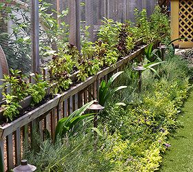 Make a Critter-Proof Garden Greenhouse