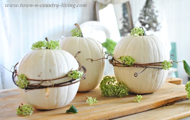 how to spruce up pumpkins with grapevines, crafts, gardening, seasonal holiday decor, wreaths, Embellish the grapevine wrapped pumpkins with dried hydrangeas or other floral element