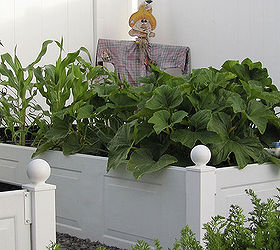 raised garden beds, diy, gardening, raised garden beds, repurposing upcycling, Garage doors into raised garden bed