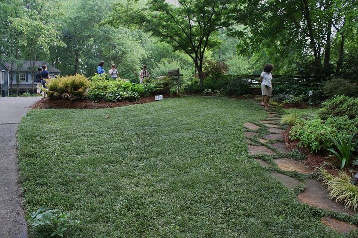 low maintenance groundcovers are a great way to make your landscape attractive there, flowers, gardening, landscape, mondo grass alwn