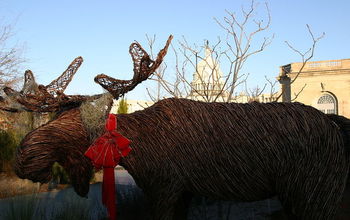 Visited the US Botanic Garden in Washington, DC and the moose is loose but won't hurt your garden, I think it's made of
