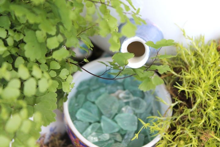 un mini jardin de maceta de te jardin de hadas, Una tetera vierte agua en un peque o estanque de tazas de t