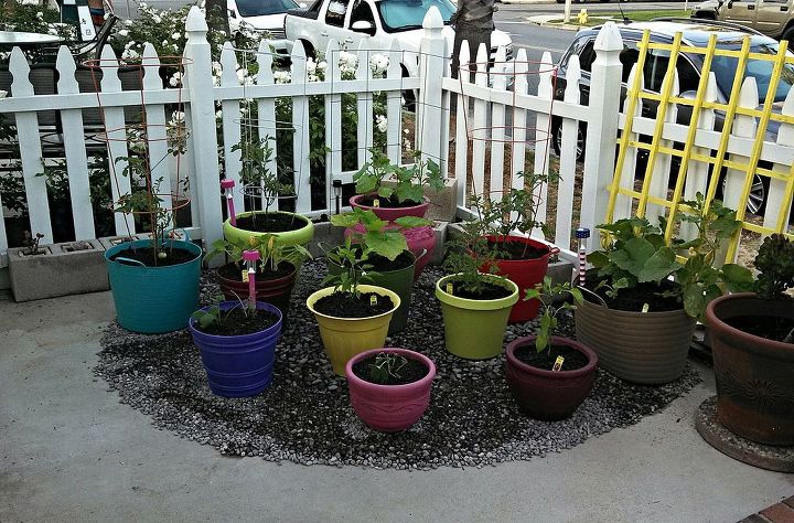 my memorial weekend project veggie container gardening, container gardening, gardening, i moved most of what was in the side patio to the front on a bed of river rock for drainage purposes it looks good too also they get one extra hour of sun in the front patio 6 24 13