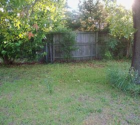 80 weeds in backyard what to do