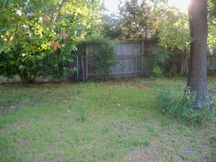 80 weeds in backyard what to do