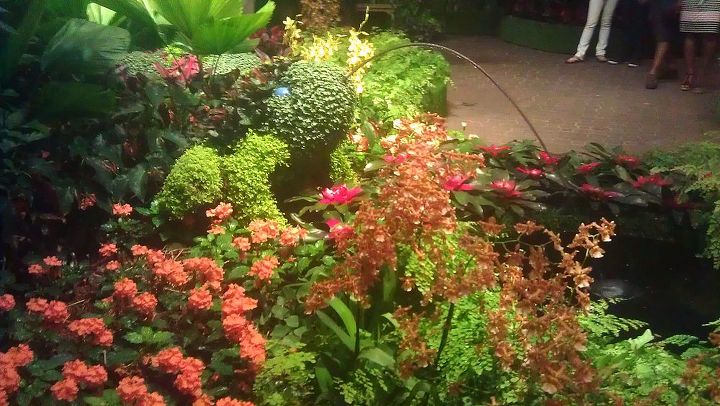 atlanta botanical gardens for date night, gardening, succulents, This is a frog look closely