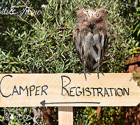 diy backyard campout birthday party, crafts, outdoor living, repurposing upcycling, woodworking projects, The sign leading guests into the house Other signs were used around the backyard to identify other locations such as the Camp Grub Trail Ahead and S More Station