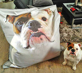 furniture for pets, painted furniture, pets animals, A custom bean bag with a HUGE image of your pet