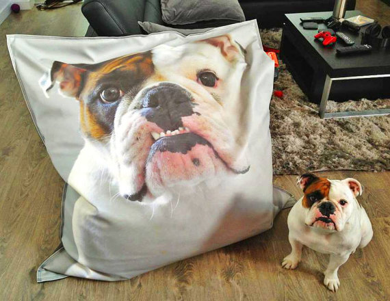 furniture for pets, painted furniture, pets animals, A custom bean bag with a HUGE image of your pet