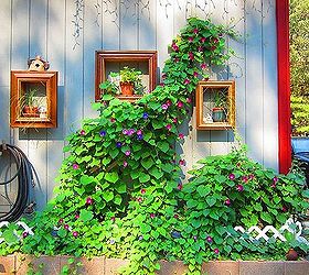 old picture frames made into wall plant hangers, home decor, flowers going crazy