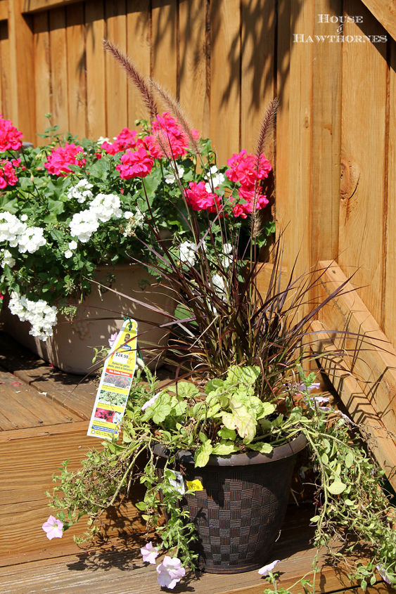 adding fall to a summer container garden, container gardening, gardening, I started out with a clearance summer planter from Lowe s my Lowe s had them for 5 originally 24 98