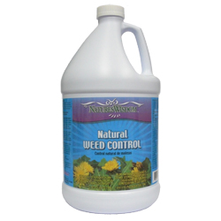 really killing weeds with vinegar, flowers, gardening, There are a few companies that have pre mixed the strong vinegar solution with a citrus oil