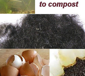 weird things that you can compost, gardening, homesteading