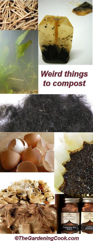 weird things that you can compost, gardening, homesteading