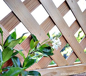 how to add privacy to a deck wood lattice screen, outdoor living, woodworking projects, Pots of jasmine are growing up the lattice and smell so wonderful when we re sitting outside