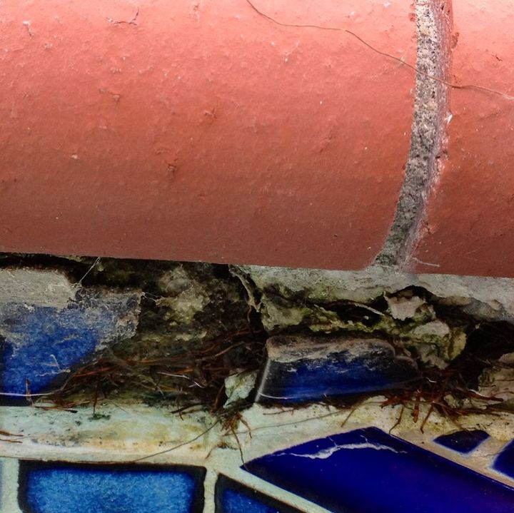 como dar um conserto aos azulejos da piscina que foram danificados, Eu gostaria de limpar o que quer que seja rejuntar e re ladrilhar Outros azulejos est o faltando mas nenhum deles parece t o nojento