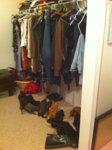 closet reorganization, cleaning tips, closet, I love shoes and want an attractive way to store and display them
