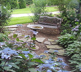 the garden outside my home office window so peaceful and changes with the, flowers, gardening, hydrangea, Outside my home office window