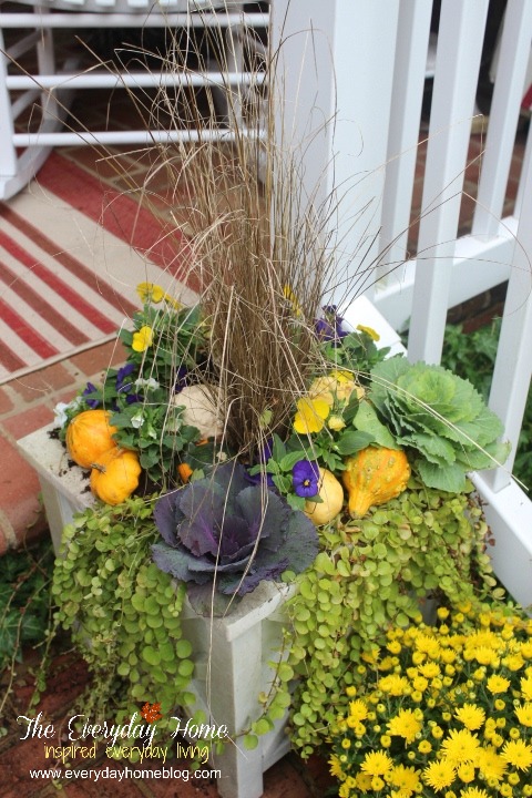 a southern fall front porch, doors, porches, seasonal holiday decor, wreaths, Containers which frame the front steps are filled with ornamental cabbages violas and mini gourds