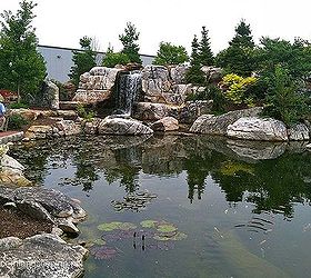 world s most extreme ecosystem fish pond construction by certified aquascape, go green, outdoor living, patio, ponds water features, Waterfalls and Ecosystem Fish Pond This Pond is so big it is hard to get it all in one photo