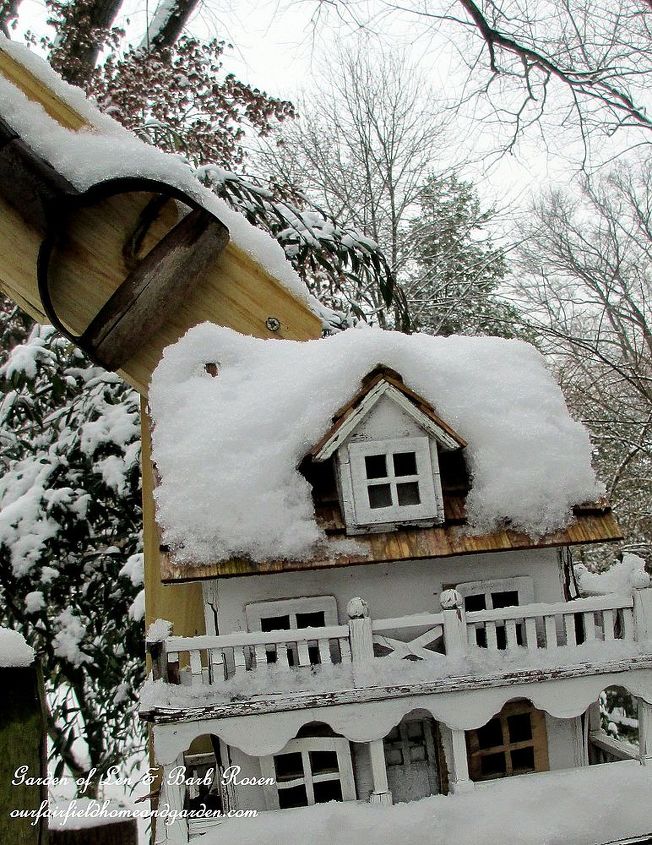 birdhouses in the snow, flowers, gardening, Back Fence Birdhouse