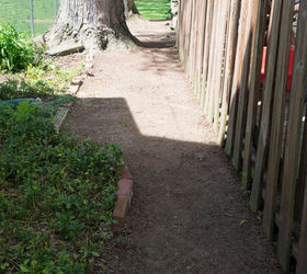 q landscaping questions, gardening, landscape, Small dirt walkway 3 foot section is mine on the right next to wood fence