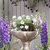 Stephenie Klingler - Professional Master Gardener