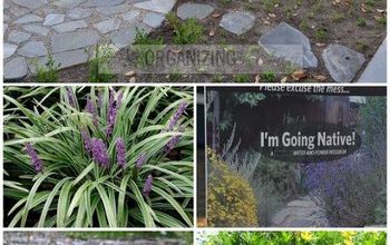 Native, Drought Tolerant Plants for Your Yard