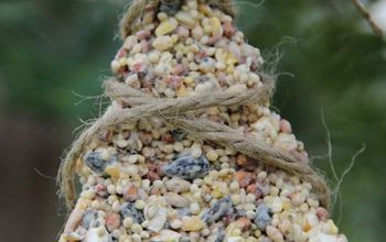 DIY Birdseed Ornaments for National Bird Feeding Month (February)