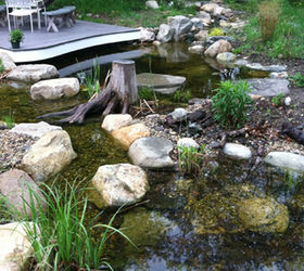ecosystem ponds, outdoor living, ponds water features, After
