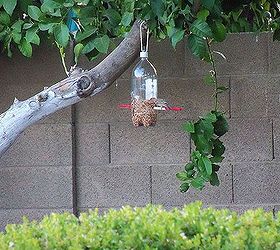 coke bottle bird feeder, outdoor living, repurposing upcycling