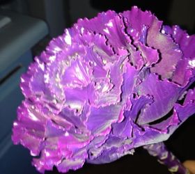 does anyone know what kind of flower this is, flowers, gardening