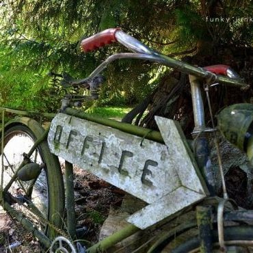 old bicycles as planters, gardening, repurposing upcycling