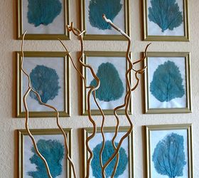 diy sea fan wall decor, crafts, home decor, I love the symmetrical look of this gallery wall