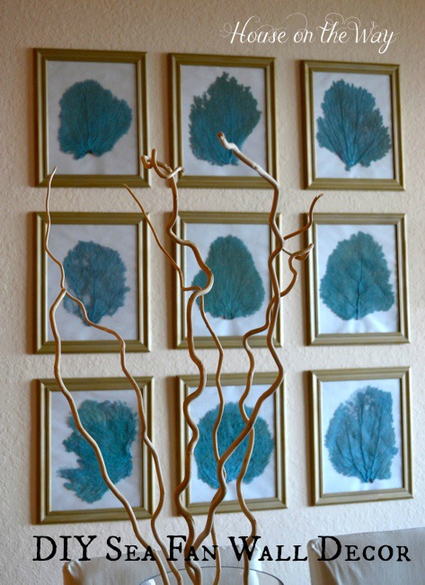 diy sea fan wall decor, crafts, home decor, I love the symmetrical look of this gallery wall