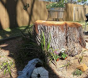 how to dress up a tree stump update, gardening, succulents, After the log at bottom left contains succulents