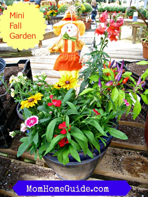 fall container gardens, container gardening, gardening, My fall container garden with a mini scarecrow black eyed susans and ornamental peppers
