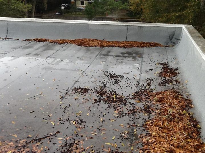 Resultado de imagen para roof debris